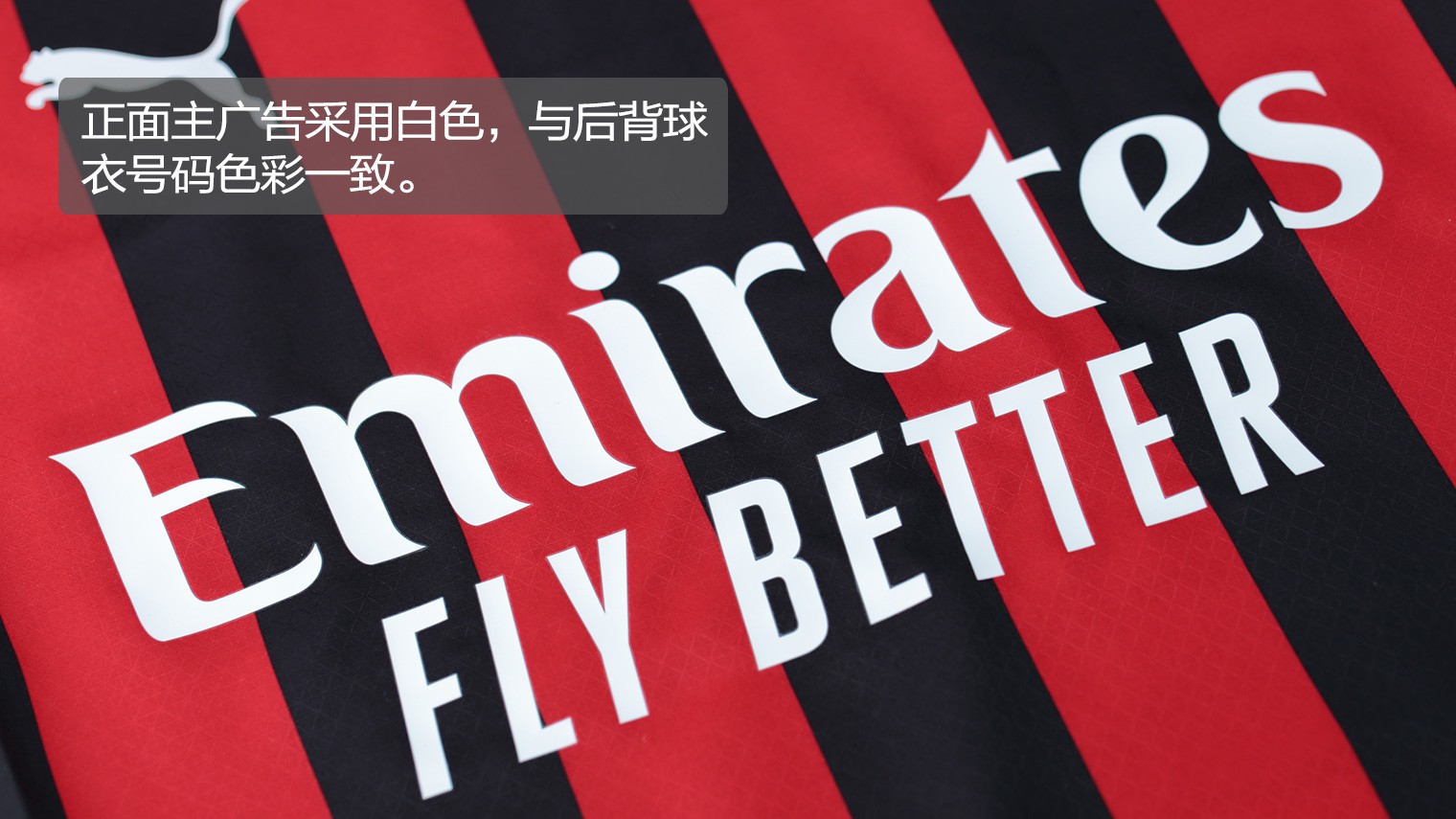 天津津门虎防守稳固（天津津门虎后防稳如磐石）